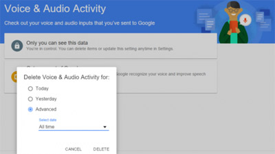 Delete-Google-Voice-activity